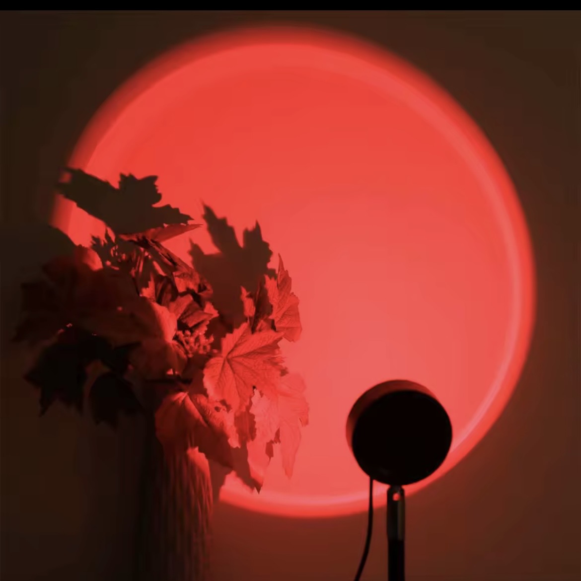Projecteur veilleuse coucher de soleil - 16 couleurs, télécommande USB